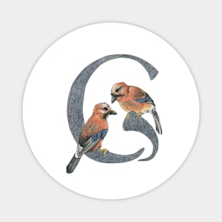 Avian Alphabet G - Eurasian jay Magnet